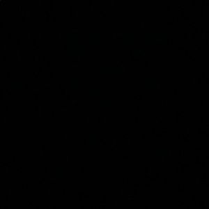 Meet your Posher, Remington